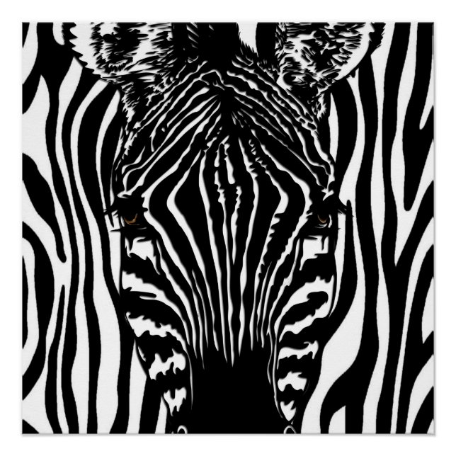Pôster Zebra Funky (Frente)