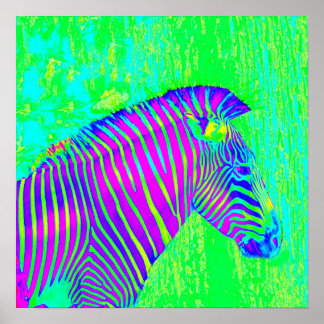 Poster zebra neon - retro verde, azul e roxo