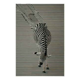 Pôster Zebra-Optik Poster | Surrealistische Tierkunst