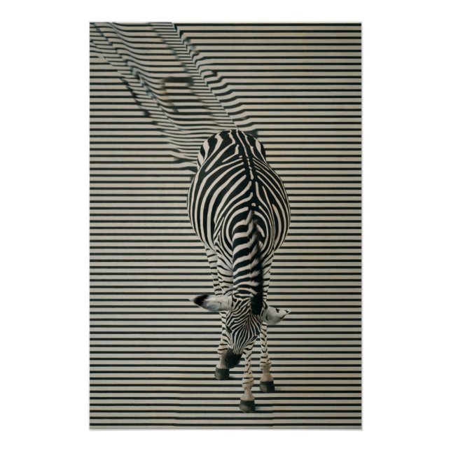 Pôster Zebra-Optik Poster | Surrealistische Tierkunst (Frente)