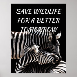 Poster Zebra, Salve a vida selvagem para uma natureza mel
