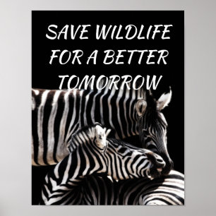 Poster Zebra, Salve a vida selvagem para uma natureza mel