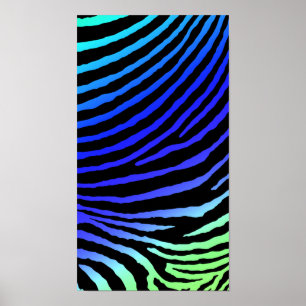 POSTER ZEBRA STRIPES: LUZ NEGRA