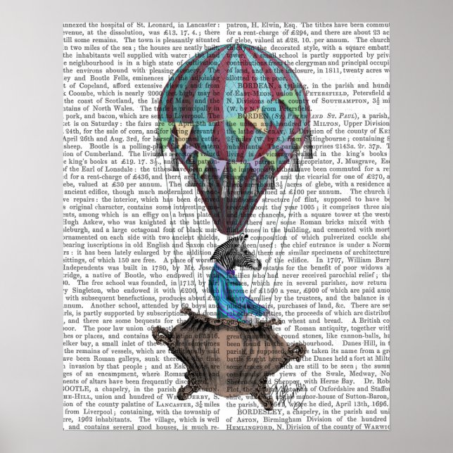 Pôster Zebra voadora (Frente)