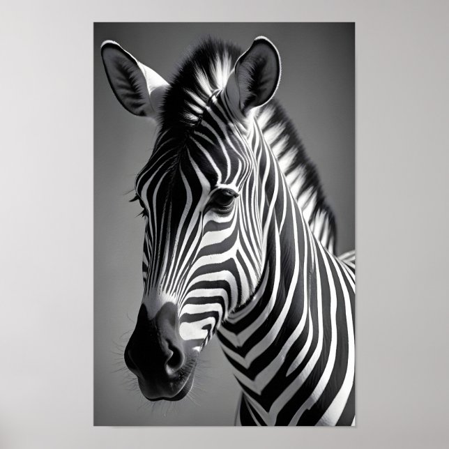 Poster Zebra Willife Maiúscula Carteira de Arte (Frente)
