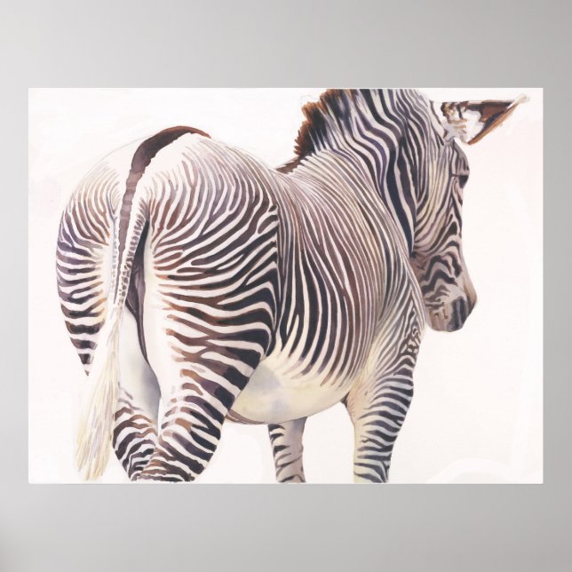 Poster Zebra Willife Watercolor "Caminho Errado" (Frente)