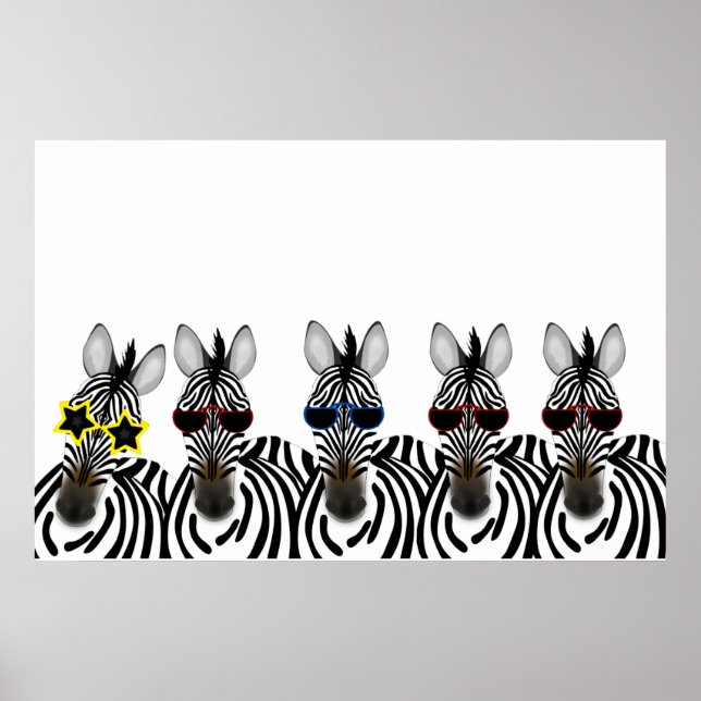 Poster Zebras (Frente)