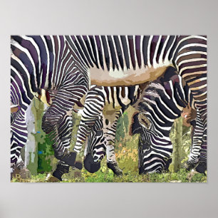PÔSTER ZEBRAS