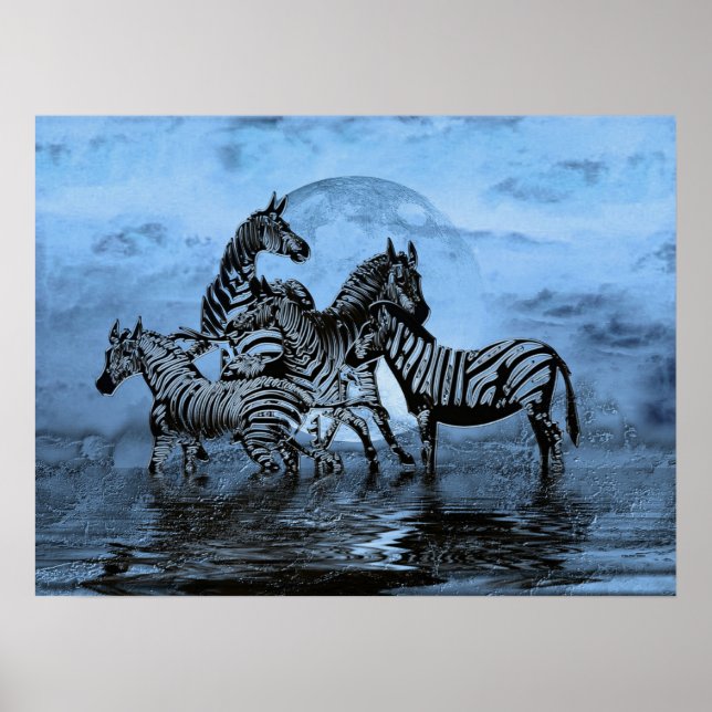 Poster Zebras5 (Frente)