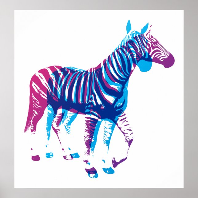 Poster Zebras - Azul e Roxo (Frente)