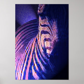 Poster zebras brilhantes 09