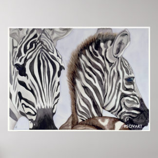 Pôster Zebras, mãe e filho