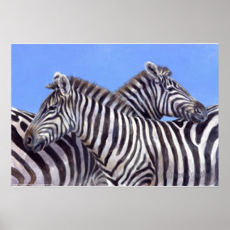 Poster Zebras por Donna Crawshaw