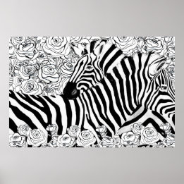 Poster Zebras Únicas