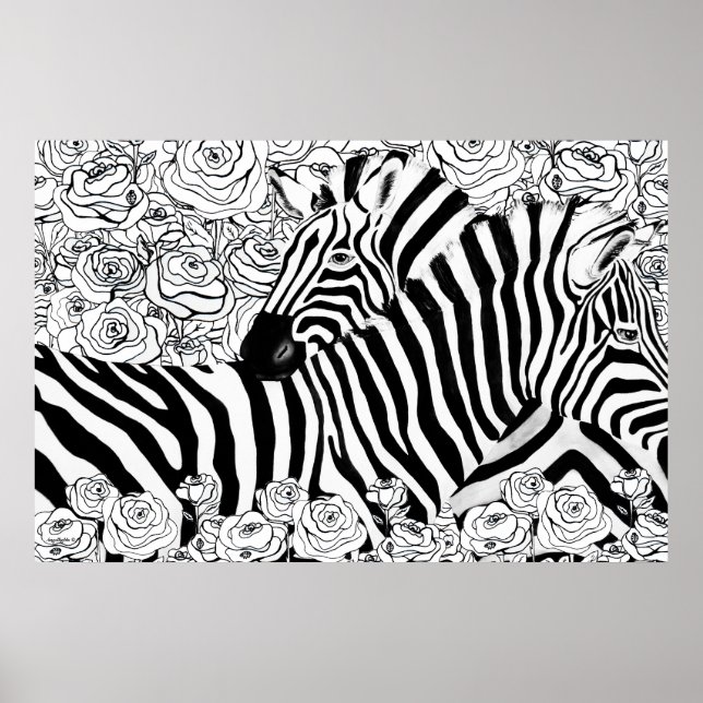 Poster Zebras Únicas (Frente)