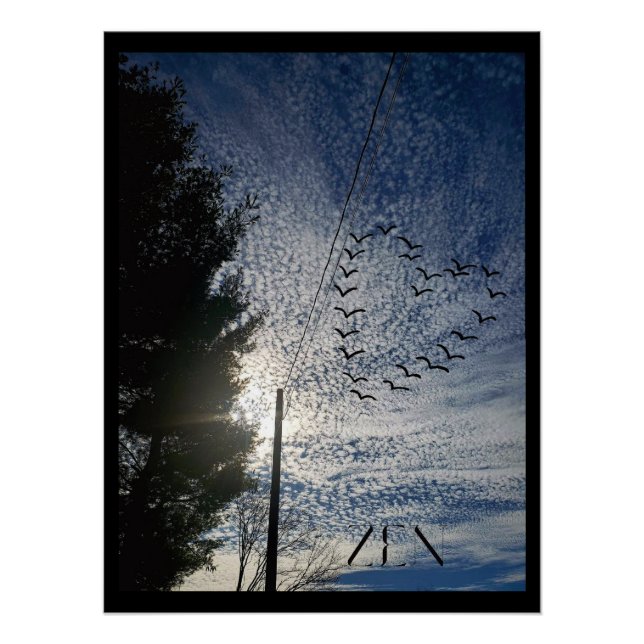 PÔSTER ZEN (Frente)