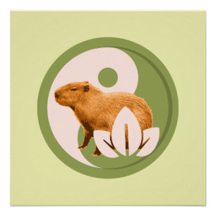 Pôster Zen Capybara Yin Yang