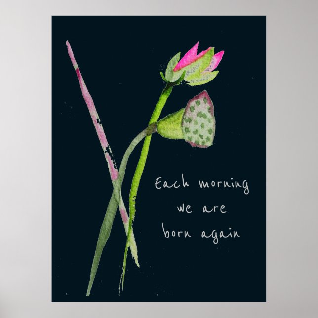 Poster Zen cita nascer novamente rosa lotus inspiração (Frente)