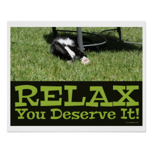 Pôster Zen e sendo um Slogan do Cat Relax