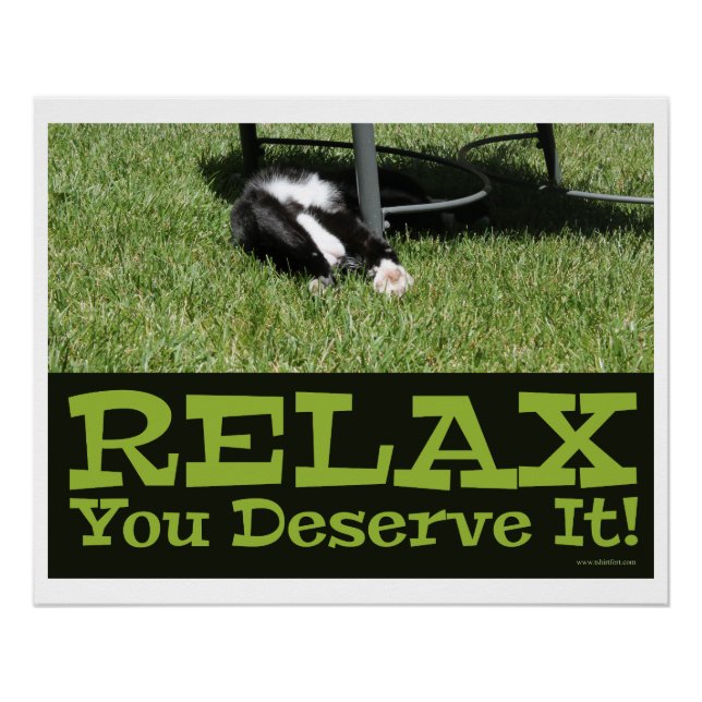 Pôster Zen e sendo um Slogan do Cat Relax (Frente)