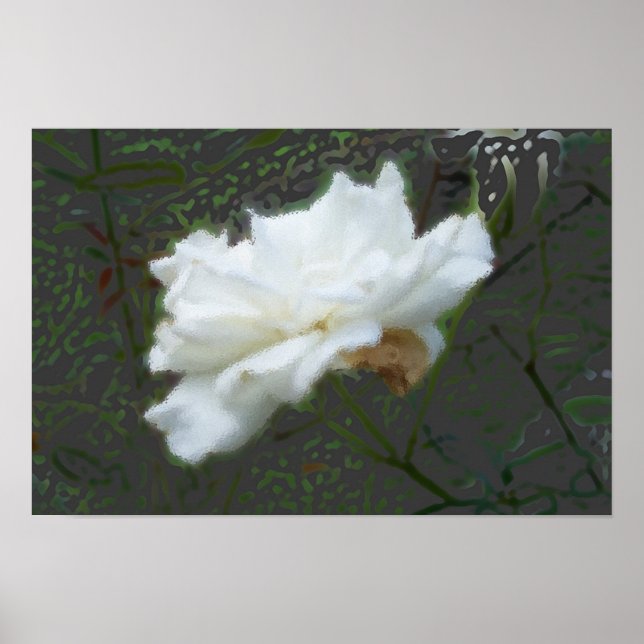 Poster Zen Flower (Frente)