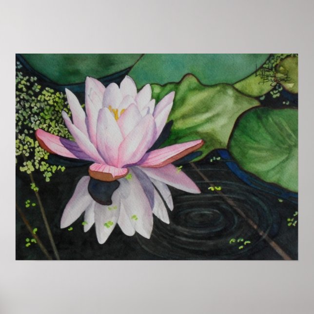 Pôster Zen Lilly (Frente)