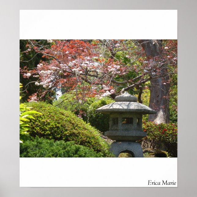 Pôster Zen Moment no SF (Frente)