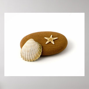 Pôster Zen Nature Sea Shell Star fish Pebble