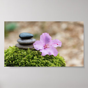 Poster Zen Stones,Flower,Landscape