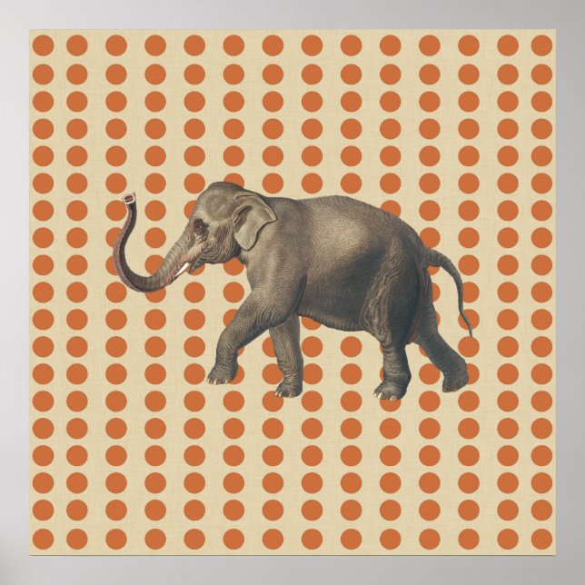 Poster Zest Spice Moods Dots com Elefante (Frente)