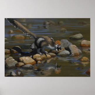 Pôster Zhenyuanlong