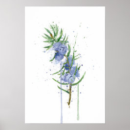 Poster Zimbro