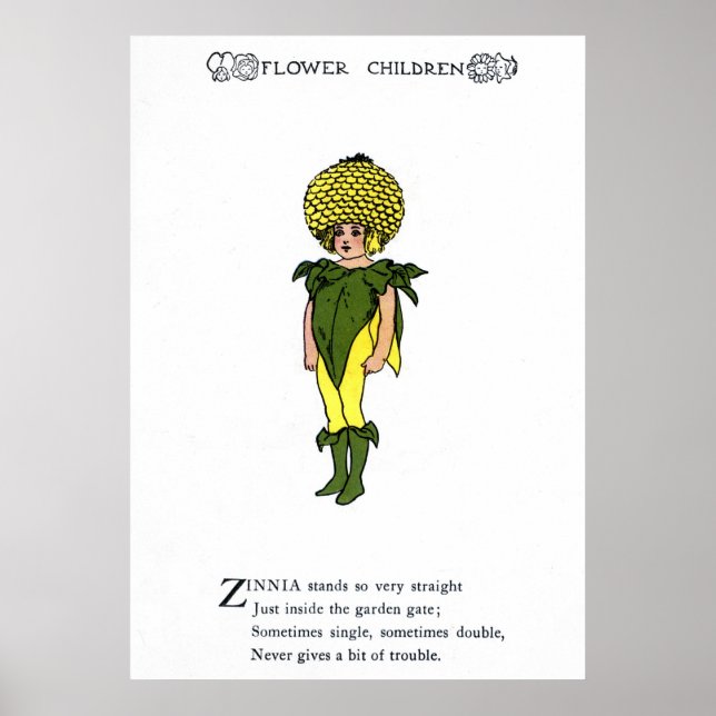 Pôster Zinnia (Frente)