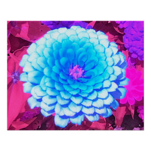 Pôster Zinnia azul bonito no jardim roxo do verão