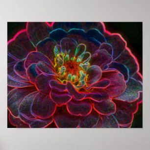 Pôster Zinnia Fantasy Abstrato Flower Art