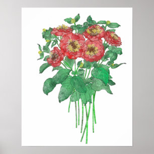 Pôster Zinnias
