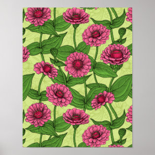Poster Zinnias cor-de-rosa em verde claro