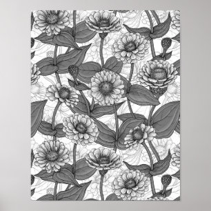 Poster Zinnias, monocônimo de branco