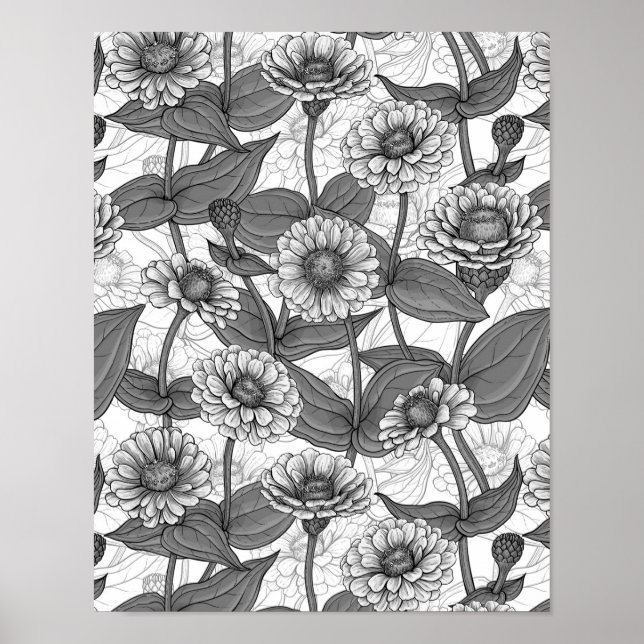 Poster Zinnias, monocônimo de branco (Frente)