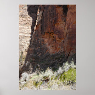 Pôster Zion Canyon