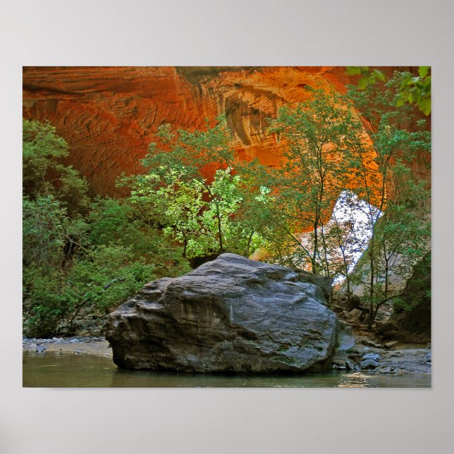 Pôster Zion National Park Rock in the Virgin River (Frente)