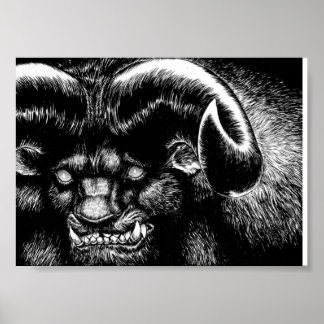 Poster Zodd O Imortal