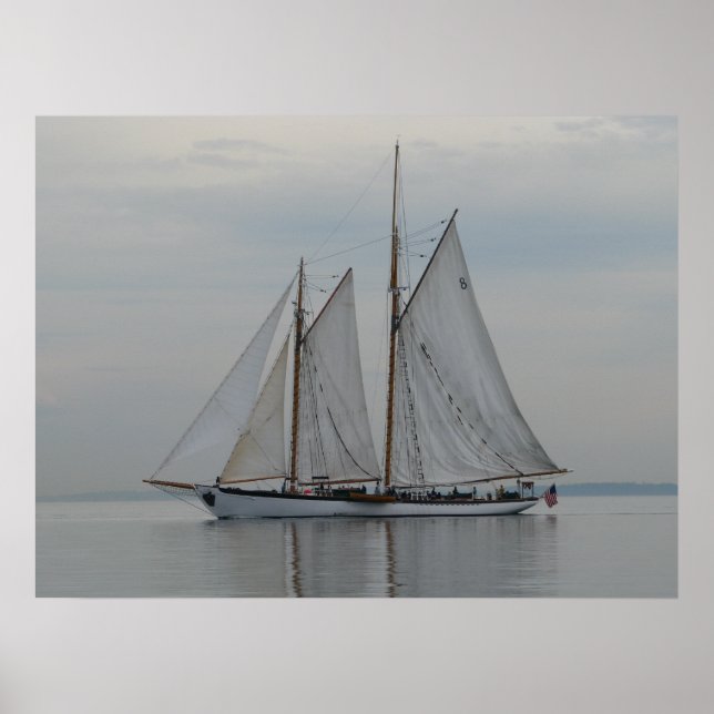 Poster Zodiac (Frente)