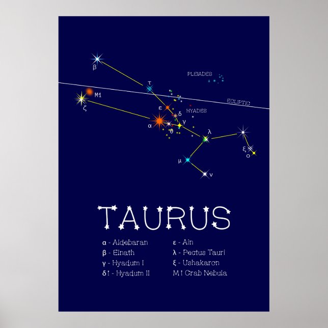 Poster Zodiac Constelação Taurus (Frente)