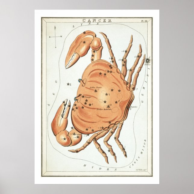 Poster Zodíaco de Astronomia de Câncer (Frente)