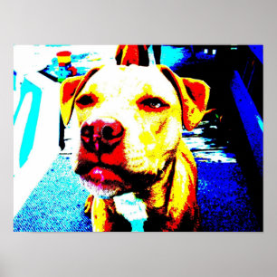 Poster Zoe posterized