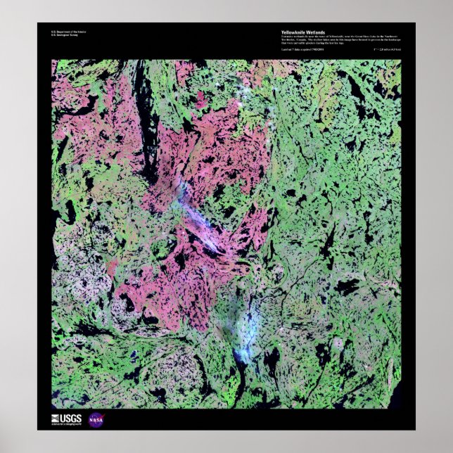 Poster Zonas úmidas com canivete amarelo (Frente)