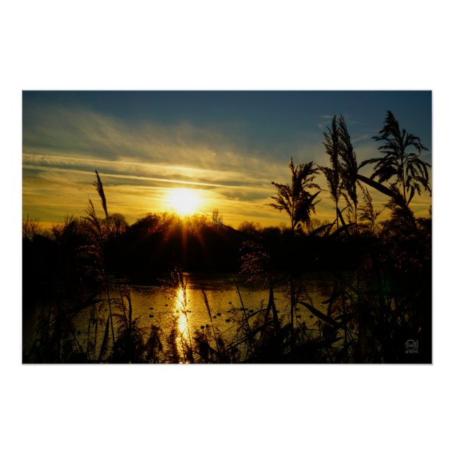 Pôster Zonsondergang bij een meertje met rietpluimen. (Frente)