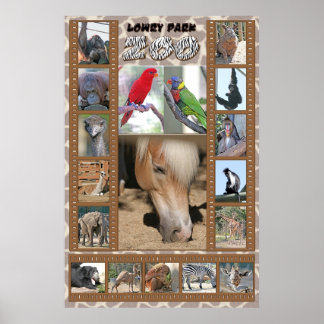 Poster Zoo do Parque Lowry