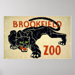 Poster Zoológico de Brookfield-Panther